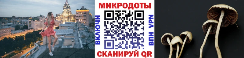 Галлюциногенные грибы мицелий Электросталь